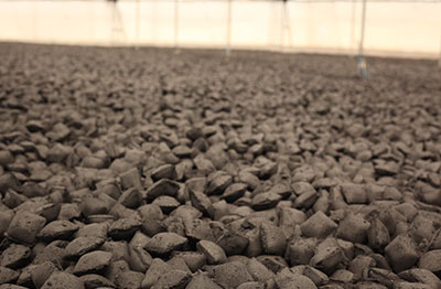 coconut-shell-charcoal-briquettes