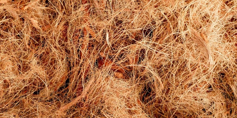 Coir fiber